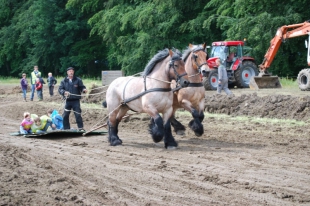 Dorpsontwikkelingsplan Luttelgeest